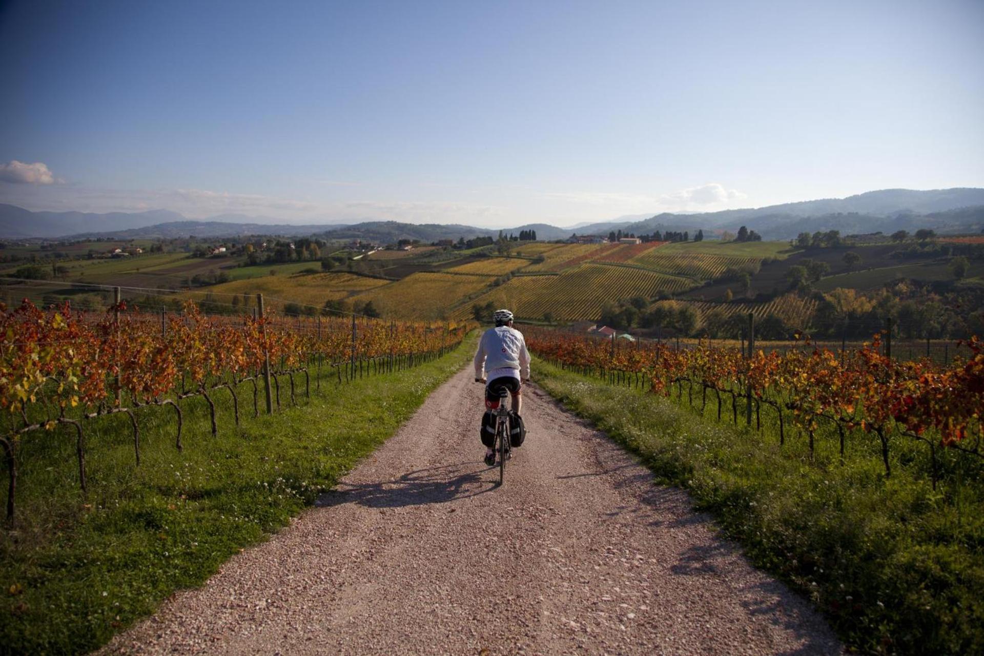 Agriturismo Bio Tra Cielo E Terra Appartement Grutti Buitenkant foto