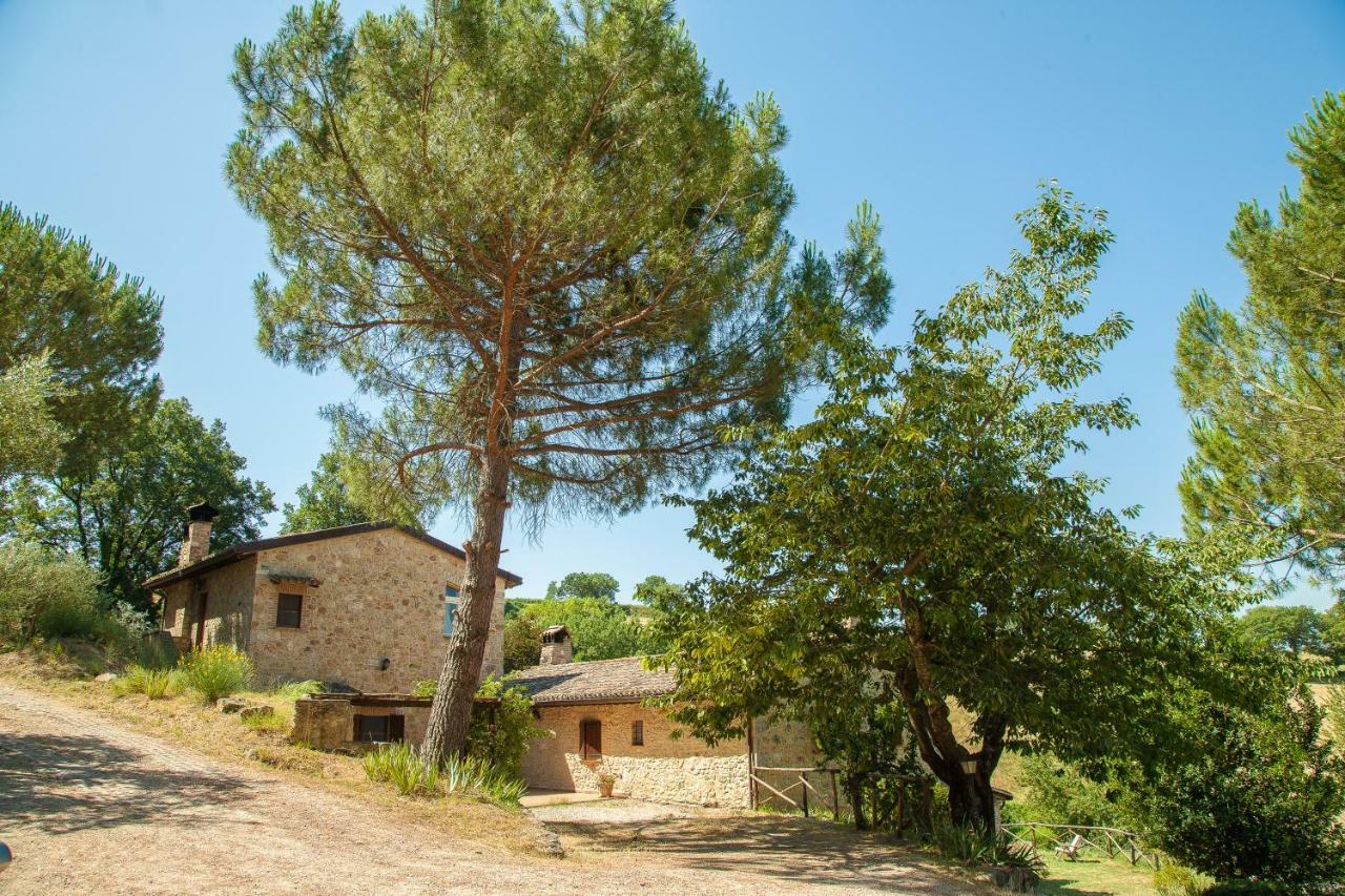 Agriturismo Bio Tra Cielo E Terra Appartement Grutti Buitenkant foto