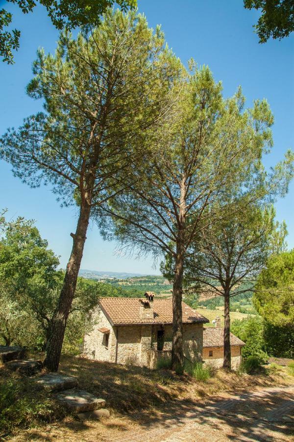 Agriturismo Bio Tra Cielo E Terra Appartement Grutti Buitenkant foto
