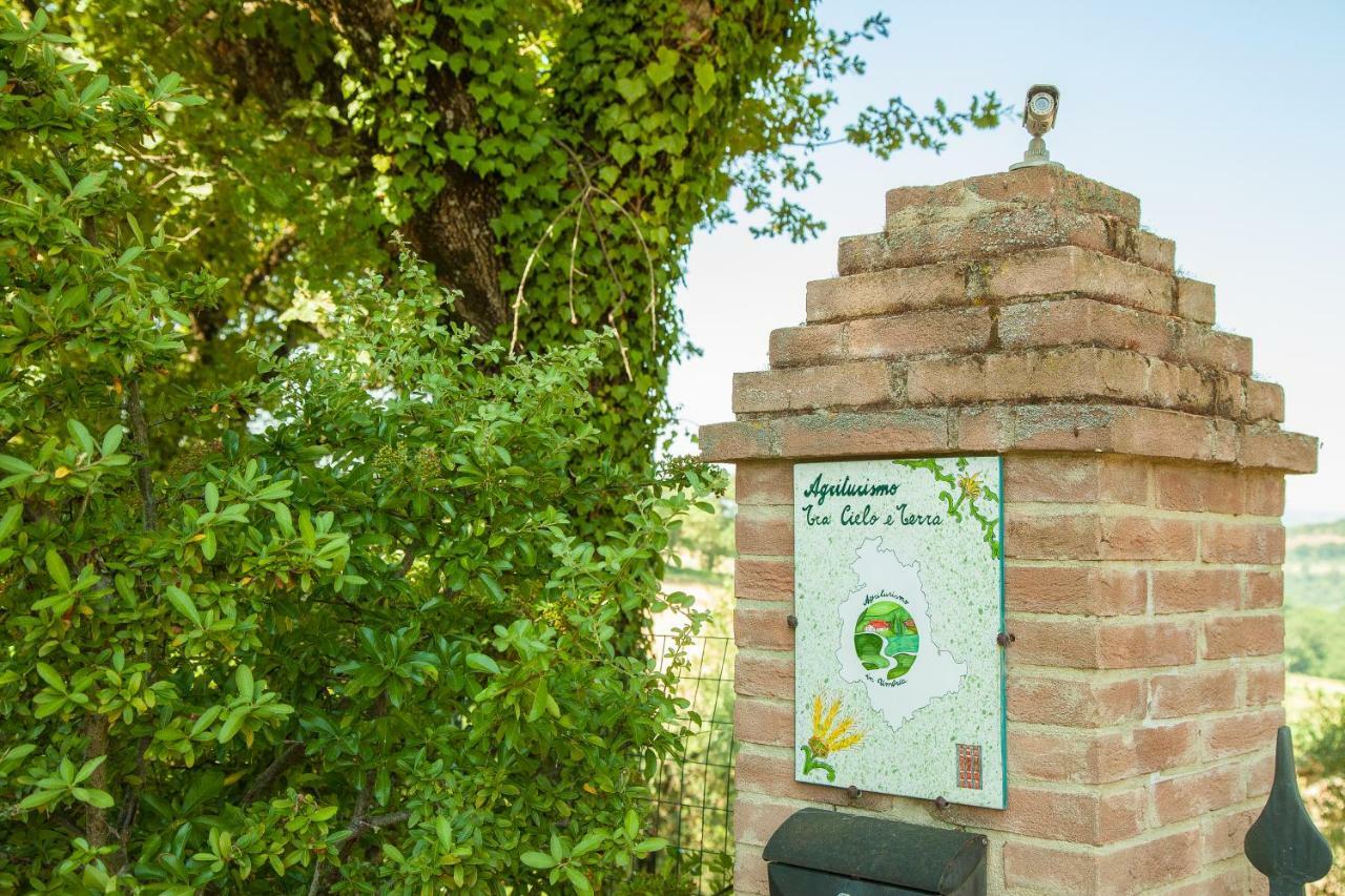 Agriturismo Bio Tra Cielo E Terra Appartement Grutti Buitenkant foto